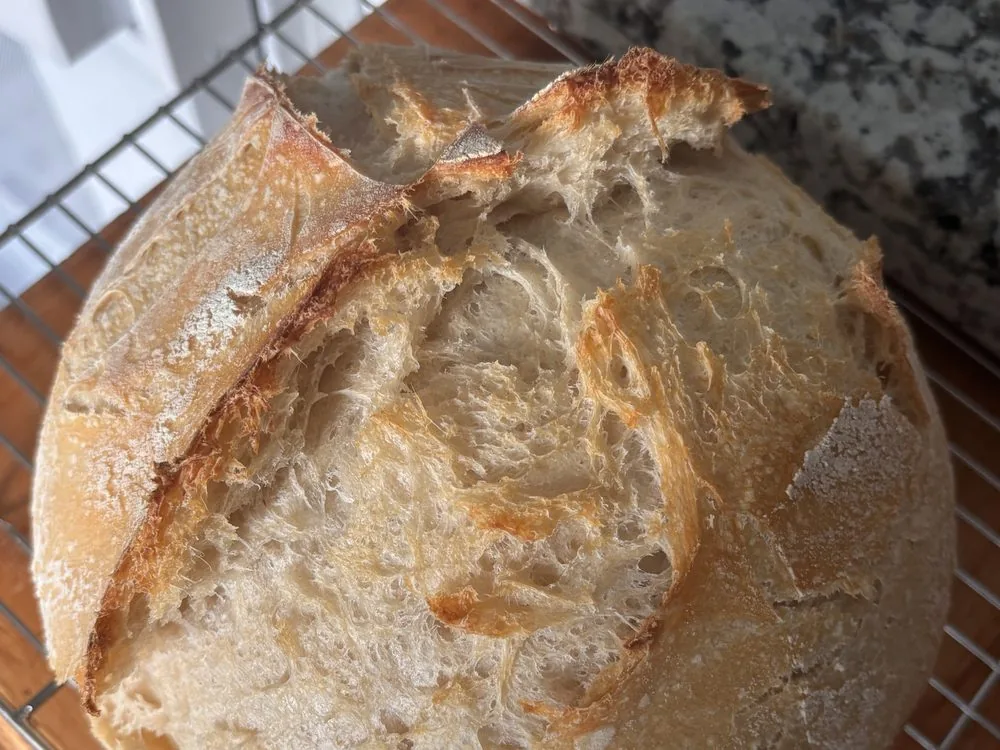 Golden sourdough boule on a cooling rack